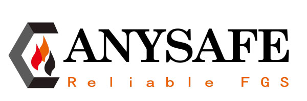 ANYSAFE LOGO