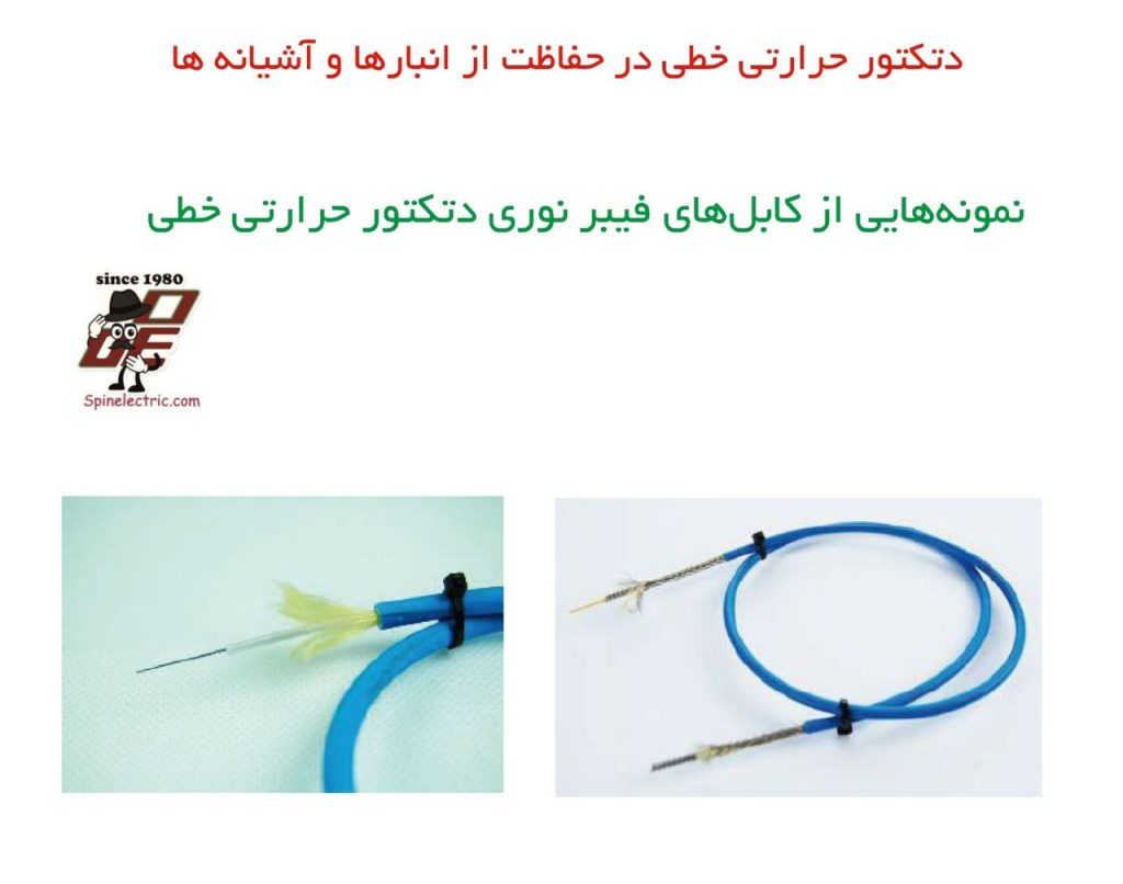 WhatsApp Image 2025 09 15 at 4.32.30 PM2