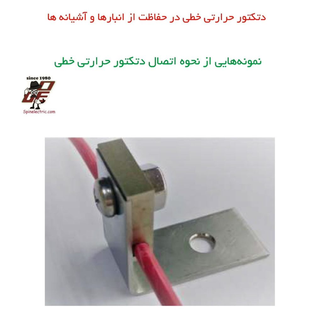 WhatsApp Image 2025 09 15 at 4.32.31 PM1