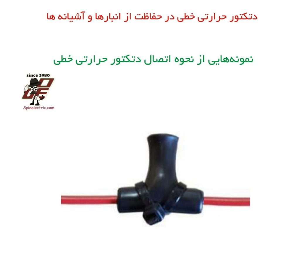 WhatsApp Image 2025 09 15 at 4.32.31 PM2