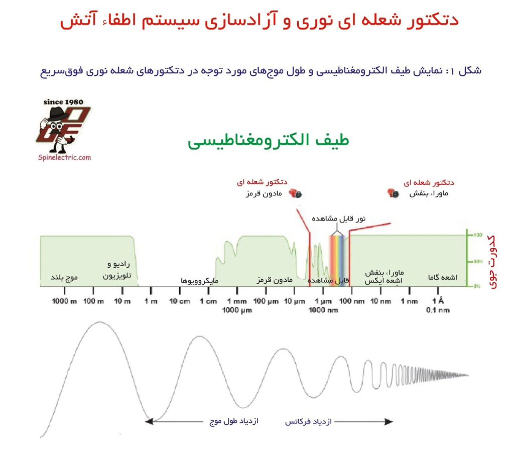 WhatsApp Image 2025 09 16 at 5.25.44 AM