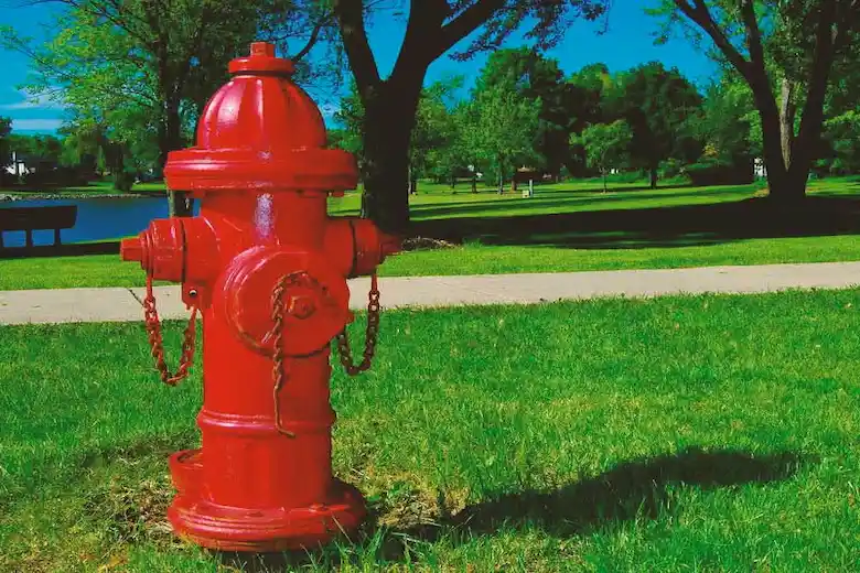 تصویری از نقش شیر آتش نشانی در سیستم اطفای حریق